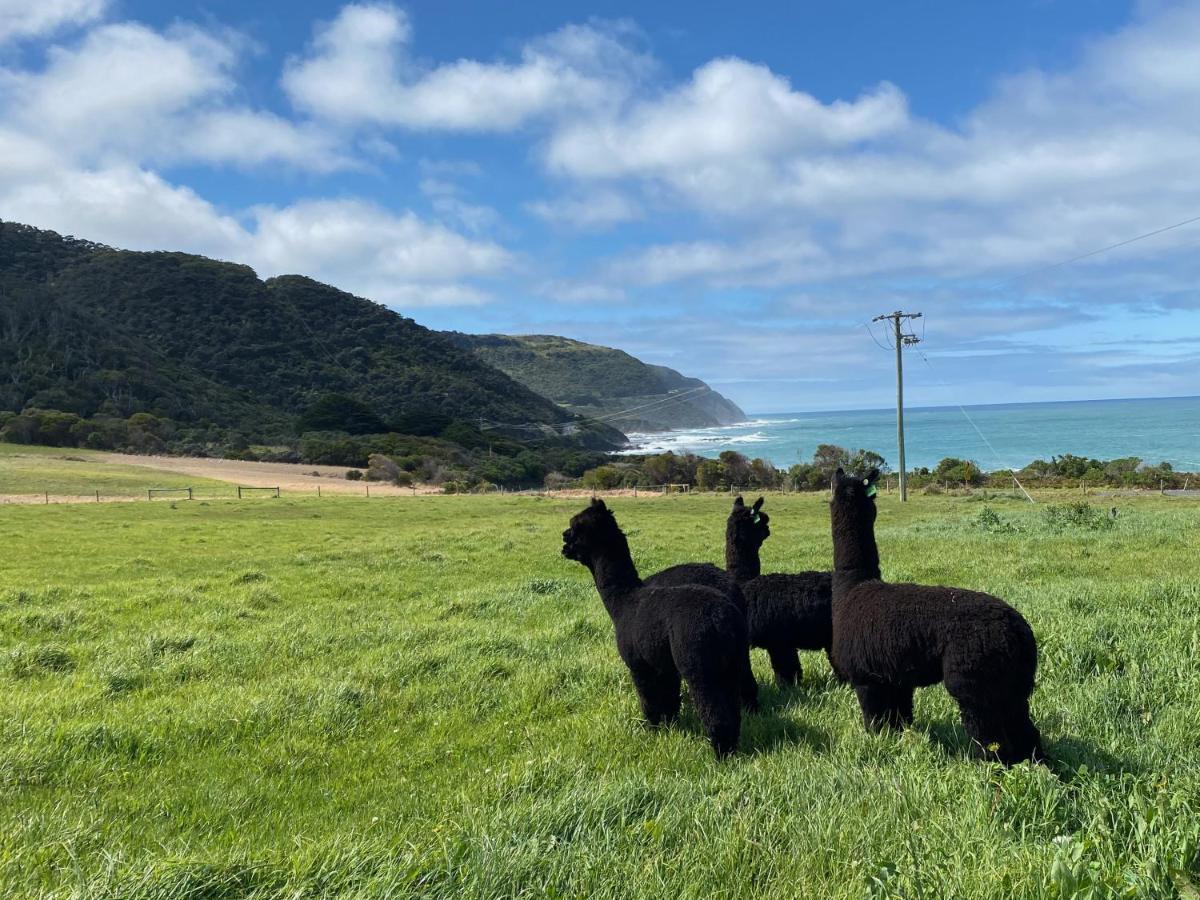 Отель Seacroft Estate Wongarra Экстерьер фото